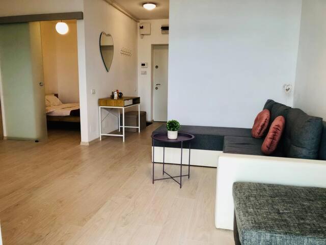 טימישוארה Joy City Stay Vivalia V4-5 מראה חיצוני תמונה